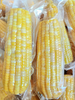 涓芝鲜食黄糯玉米8棒/箱（280G/棒） 商品缩略图0