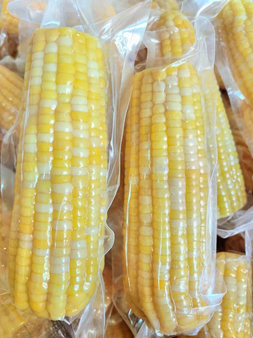 涓芝鲜食黄糯玉米8棒/箱（280G/棒） 商品图0