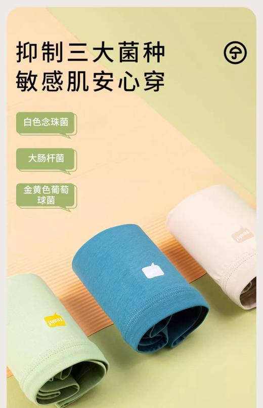 云仓【MQD正品】 5A抗菌 T猫79 儿童平角三条装 商品图8