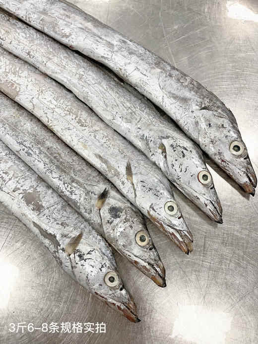 优选丨（舟选®）舟山鲜冻雷达网盘带鱼  精品带鱼肉质鲜嫩 商品图3