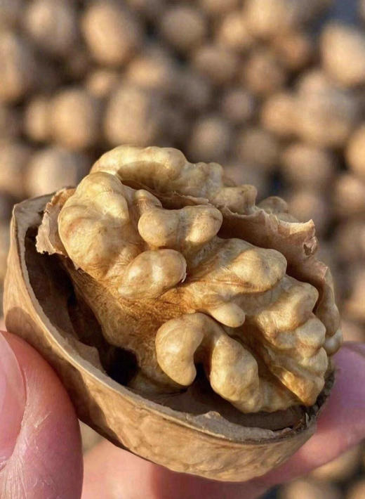 【坚果小船酥】❗️整条船的坚果❗️29.9💰到手足足3大袋❗️造型独特❗️一口下去满满坚果香❗️香❗️脆❗️ ✅坚果果干搭配 商品图3