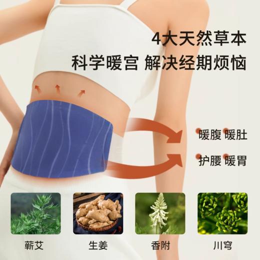 【体验装】允宝蕲艾暖腰带3.0-一片-单拍不发货 商品图6