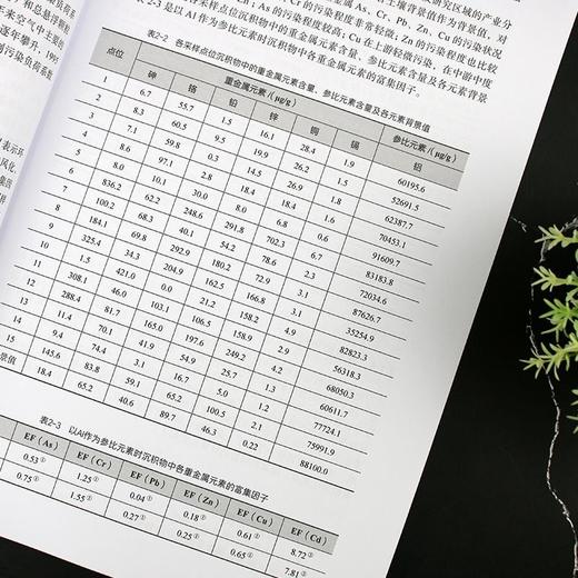 农产品产地环境质量评估与污染特征分析 商品图1