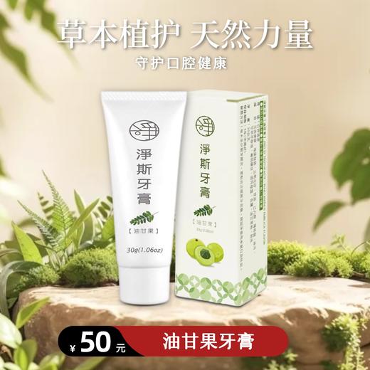 【静思书轩】净斯台湾进口油柑果牙膏90g单支售 台湾直邮不包税 以实际为准   单笔不超过350元人民币 商品图0