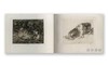 Goya: The Disasters of War / 戈雅：战争的灾难 商品缩略图4