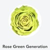 肯尼亚进口花材Rose Green Generation世代玫瑰绿10支 商品缩略图0
