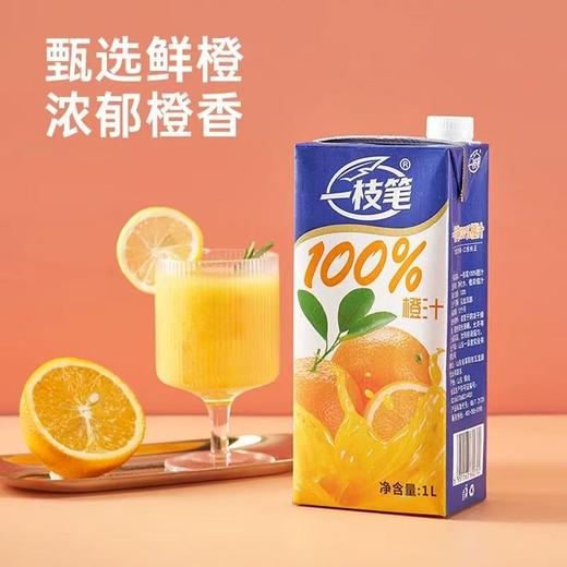 自营（一枝笔）-利乐装饮料1L*2瓶大瓶装浓缩果汁饮品果汁橙汁饮品 商品图2
