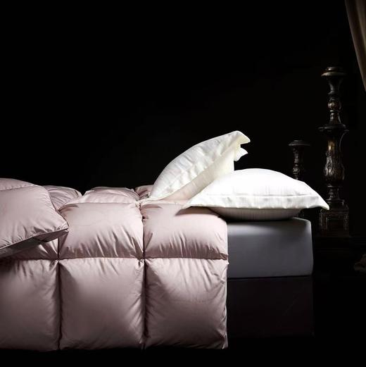 【恐龙厅】B7 丨恐龙悦彩臻品白鹅绒冬被/粉 商品图2