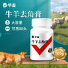 华畜牛羊去角膏 无伤口不出血，可用80头 商品缩略图0