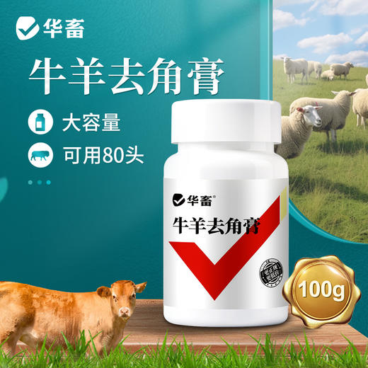 华畜牛羊去角膏 无伤口不出血，可用80头 商品图0