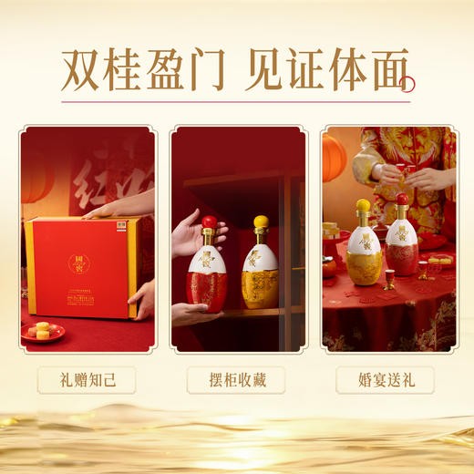 【酒厂直营】55度国窖1573生命中的那坛酒 011/1L*2    泸州老窖官方旗舰店 商品图4