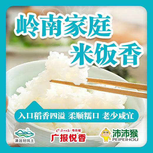 【广报智选自营】「广报悦香」清远丝苗米5kg/包 新包装 商品图3