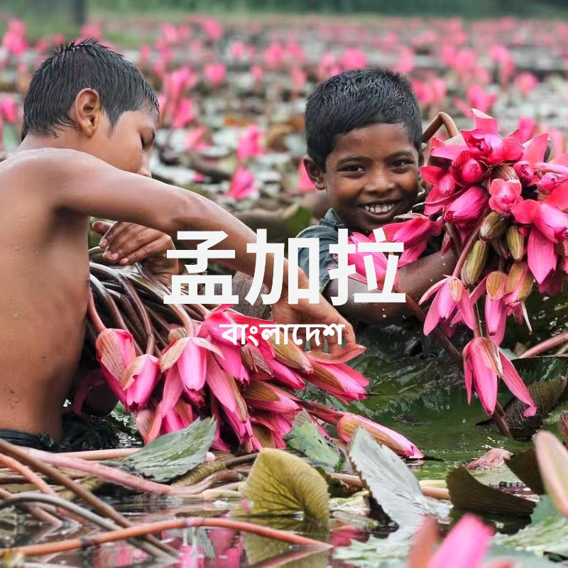 【年度计划】9.26-10.6 | 宝老师：密法的源头 阿地峡尊者的故乡