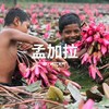 【年度计划】9.26-10.6 | 宝老师：密法的源头 阿地峡尊者的故乡 商品缩略图0