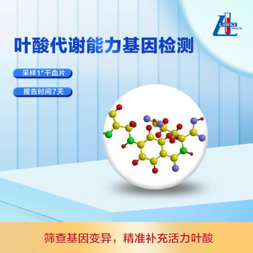 叶酸代谢功能基因检测【检测服务咨询】 商品图0