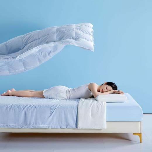 TTH鹅绒深睡控温被PRO 商品图0