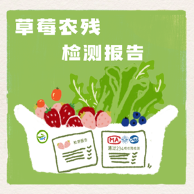 立深草莓-农残检测报告