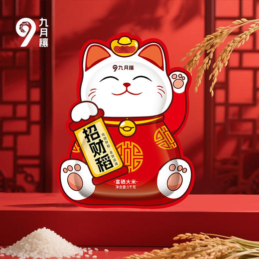 恩施 九月穰 招财稻富硒大米1kg/袋 商品图3