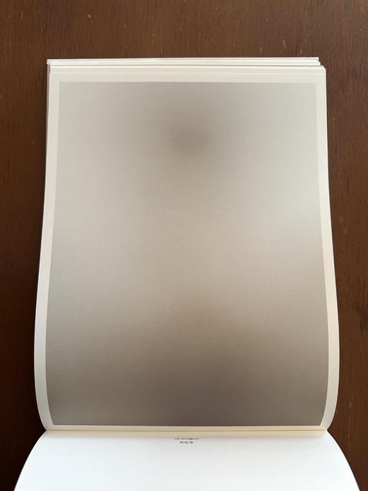 《十八度灰》徐勇最新摄影集 （德国KERBER出版社） 商品图10