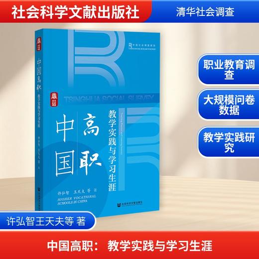 中国高职： 教学实践与学习生涯 商品图0