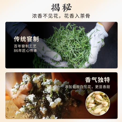 凤牌红茶茶叶正宗云南经典茉莉特级工夫红茶100g罐装 商品图3
