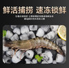 【海朴】进口黑虎虾  活冻海捕黑虎虾1.5KG 商品缩略图6