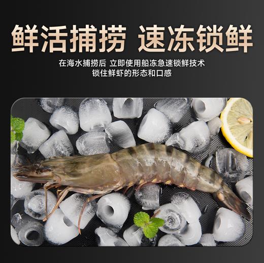 【海朴】进口黑虎虾  活冻海捕黑虎虾1.5KG 商品图6