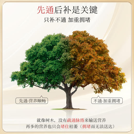 ⁴【胡庆余堂红参蛹虫草发酵饮】道地草本食材+益生菌+酶 小分子发酵 5大专利 9袋/盒YC04-CR-HQYT 商品图2