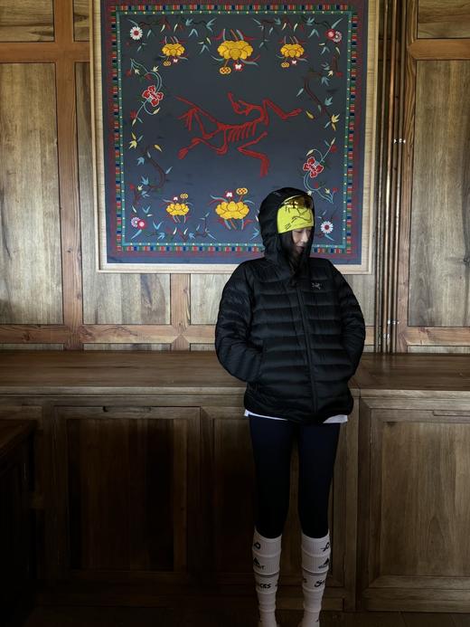 zm37-始祖鸟 Cerium排骨羽绒服(MG) 商品图11