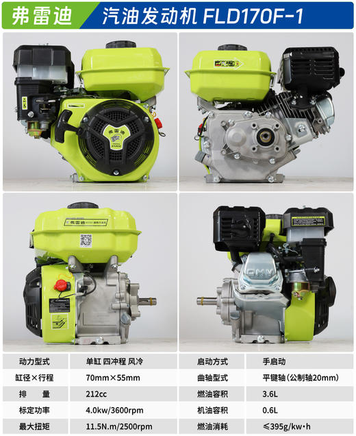 弗雷迪汽油发动机 FLD170F-1 商品图1