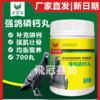 【强鸽磷钙丸】700丸幼强健骨骼丰润羽毛钙磷速补丸（欧耐德） 商品缩略图0