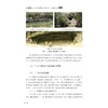 浙江龙游牛场、翠光岩和瀫波岩古洞室群工程地质力学研究/方建平 孙亚丽 刘勇兵 梁译文 方鑫鑫 傅燕 杨志法 著/浙江大学出版社 商品缩略图4