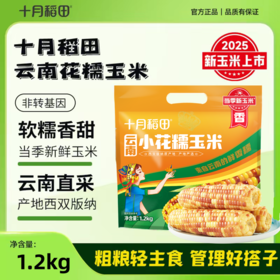 【西双版纳直采】十月稻田 云南小花糯玉米1.2kg（约6-7根）当季新玉米