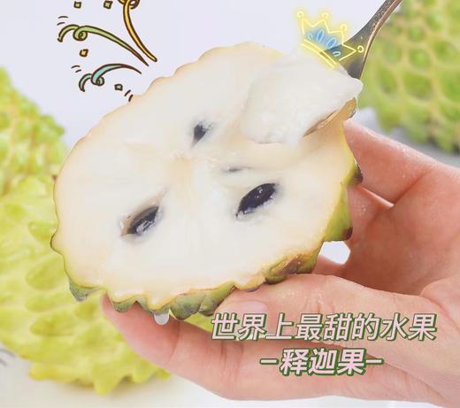 【牛奶凤梨释迦果】这是一款会说情话的水果，温柔又甜蜜 🍥嫩滑细腻的果肉，一口下去如牛奶般丝滑 ✨成熟的释迦果带有一股奶香味，-TTSG 商品图12