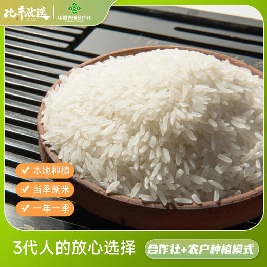 武隆香米10斤真空包装 商品图6