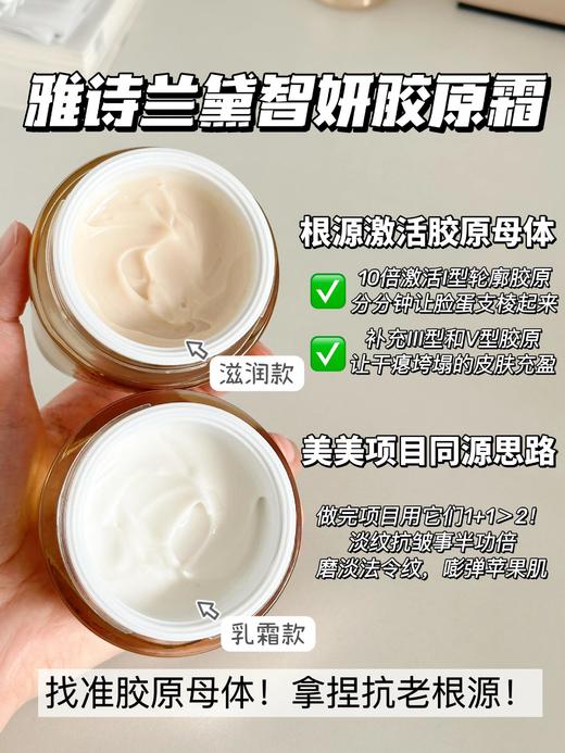 新版 雅诗兰黛多效智妍面霜15ml 商品图3