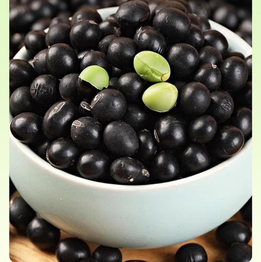 纳豆 | 有机 商品图5