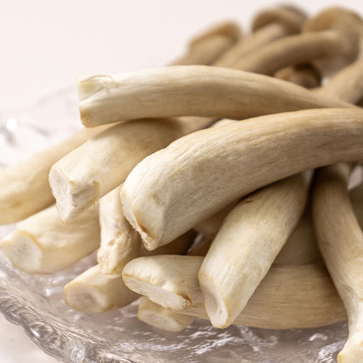 有机鹿茸菇120g新鲜脆菇鲜货菌菇炒菜煲汤脆嫩满额包邮 商品图7