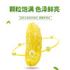 万达绿葡萄干500g蜜饯果干果脯休闲零食办公室小吃家庭量贩装水果干 商品缩略图2