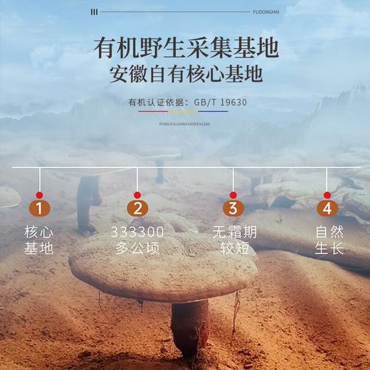 【福东海】破壁灵芝孢子粉1g*100包/盒 中老年滋补保健品增强免疫 商品图4
