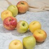 苹果三拼丨水蜜桃苹果+金果+艾妃，一次吃三种口感，三种不同感受，口感酸甜多汁，有香气，家庭装，大小不一，量不多，抓紧入手！ 商品缩略图6