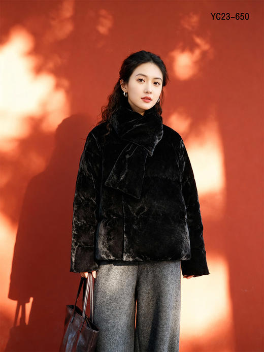 YC23-650    95白鸭绒羽绒服 商品图0