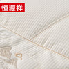 恒源祥 TZT1033 荞皇护颈枕 48*74cm 单位：床 商品缩略图3