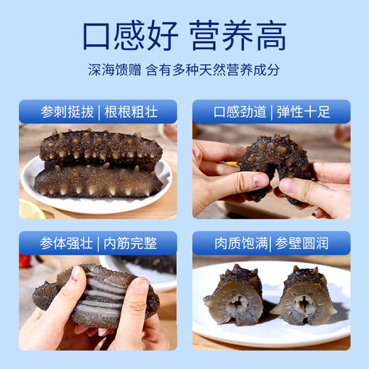 星龙港大连即食海参 大海传奇500g(5-7头)（注：冷冻生鲜类商品不退，质量问题只换） 商品图6
