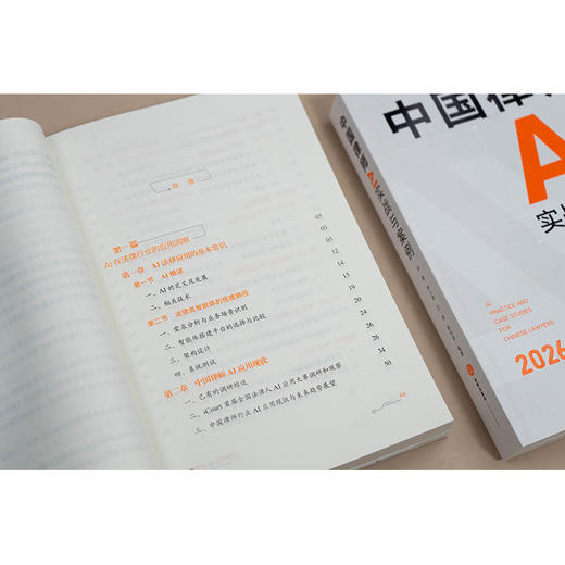 中国律师AI实战与案例 张萌 李小武 兰洋 陈中泽编著 法律出版社 商品图2