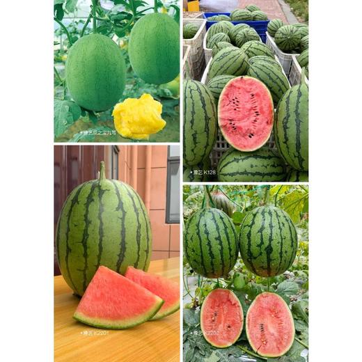优质西瓜绿色高效生产技术 商品图3