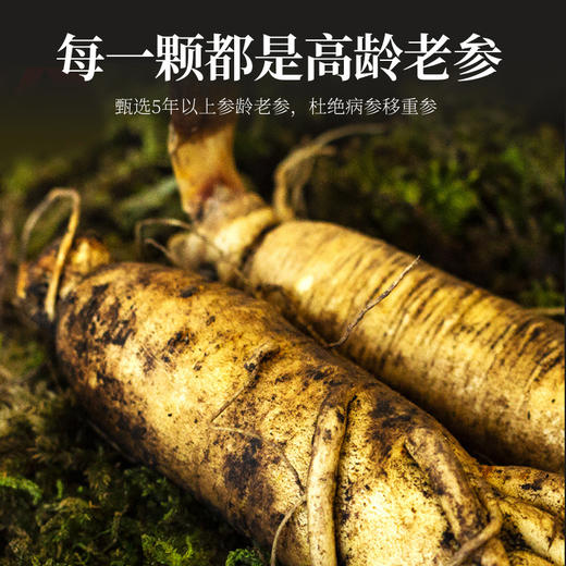 杞里香 西洋参段 抽屉盒装200g 加拿大进口花旗参段 短支西洋参段 送礼爸妈长辈 商品图3