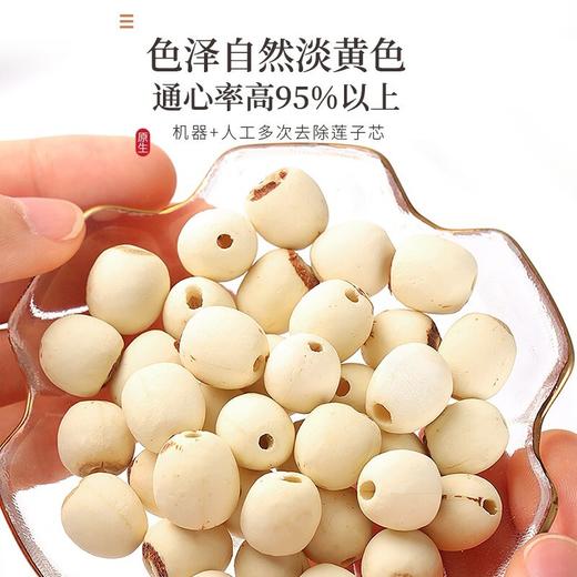 【福东海】莲子400克/瓶 商品图1