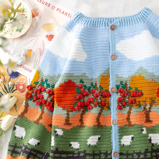 苏苏姐家苹果园开衫手工diy钩针编织衣服4股棉毛线团自制材料包 商品图3