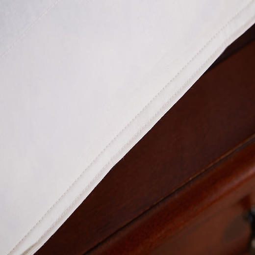 恒源祥 1JJ1212 羽毛荞麦枕 48*74cm 单位：床 商品图7